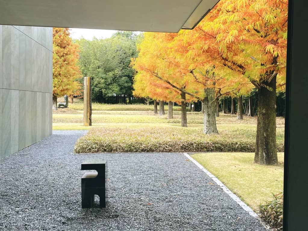 豊田市美術館の秋の景色