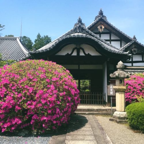 當麻寺奥院