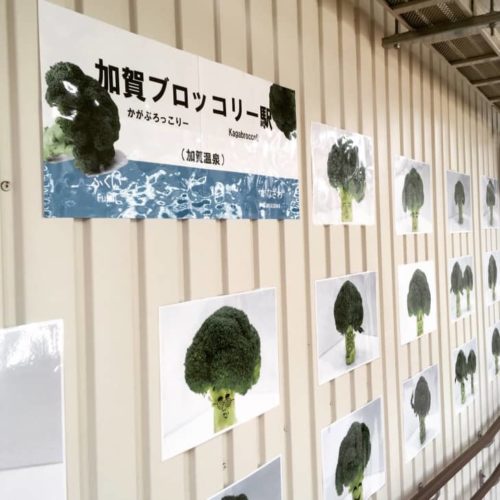 加賀温泉駅のブロッコリー写真