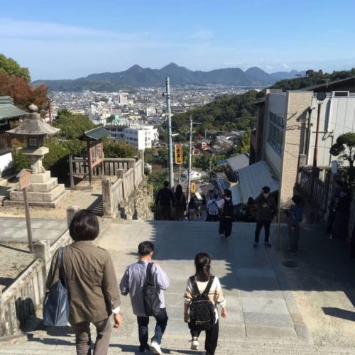 金比羅山から階段を見下ろす風景