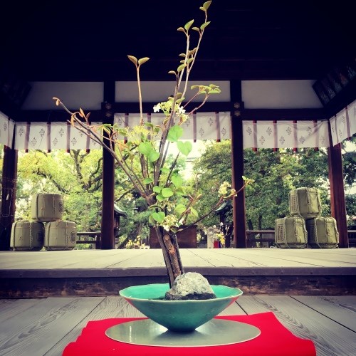 神社で見つけた生け花