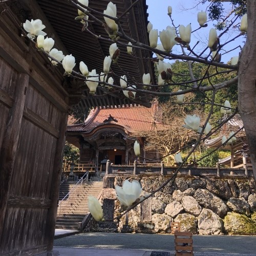 明石寺