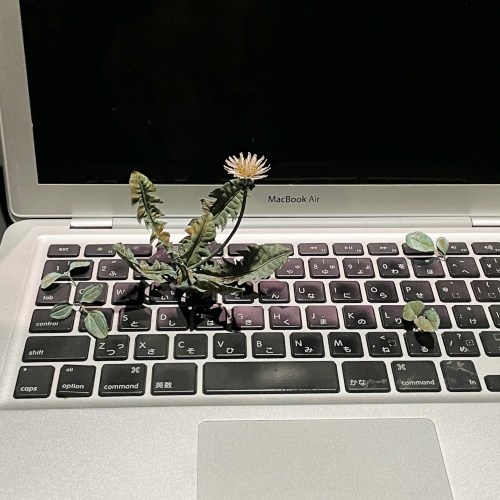工芸作品：ノートパソコンの上に金工で作ったたんぽぽが咲いている作品