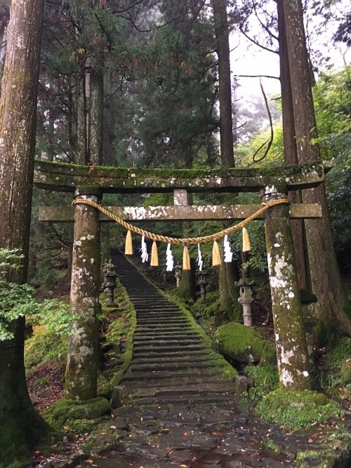 高住神社鳥居