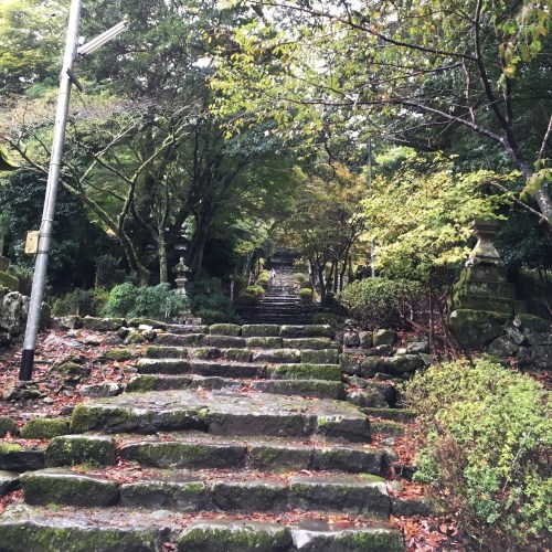 英彦山神宮の石段