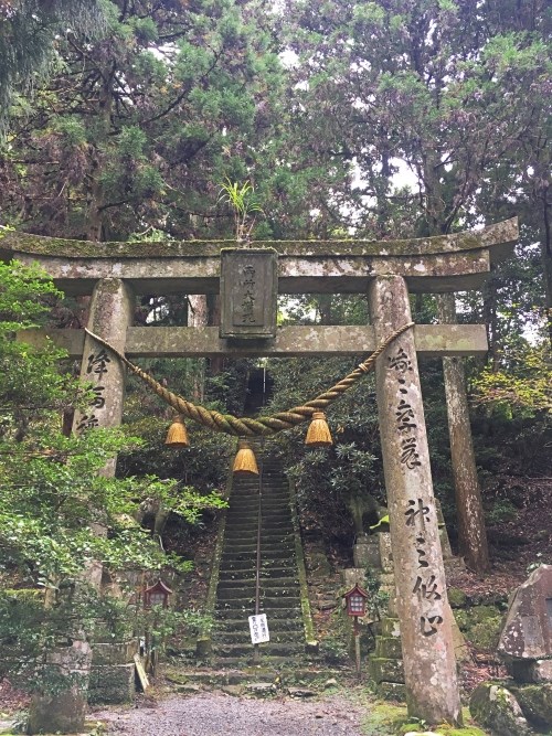 両子寺の鳥居と奥の院への階段