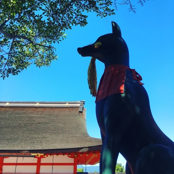 伏見稲荷の狐像